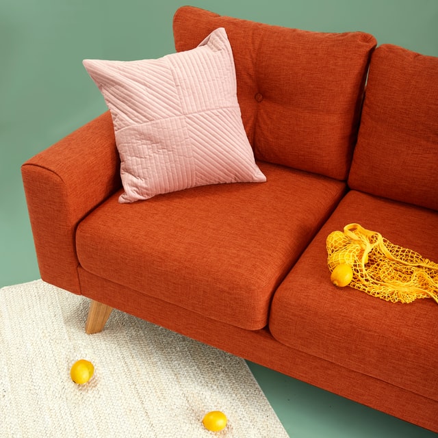 Lemon on the sofa.
